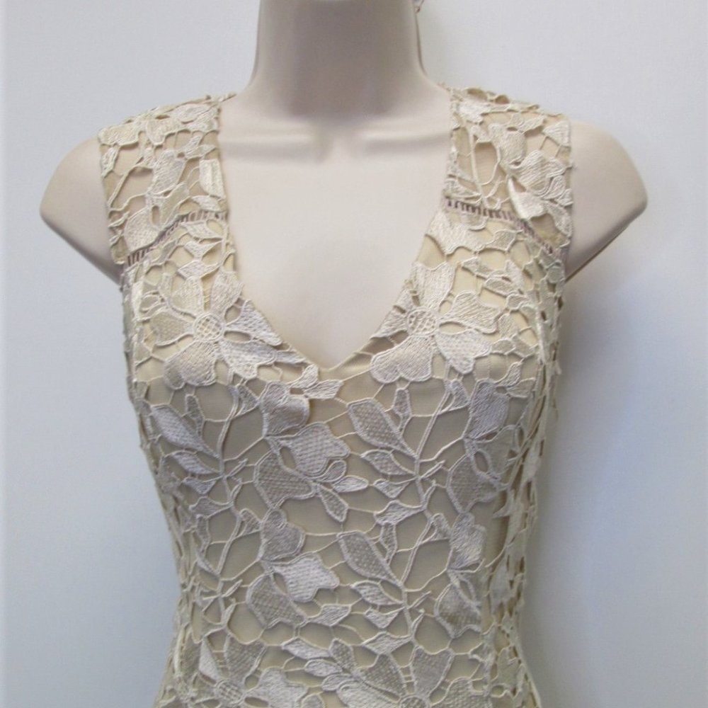 Adrianna Papell Champagne Nude Long Dress ADPA3009